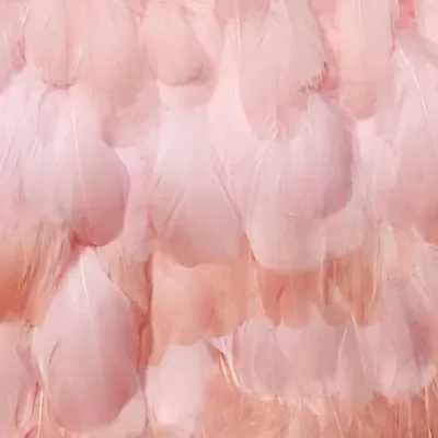 Blush Feather Texture custom photo booth backdrop, design PB-C003