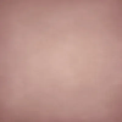 Dusty Rose Studio Texture custom photo booth backdrop, design PB-C009