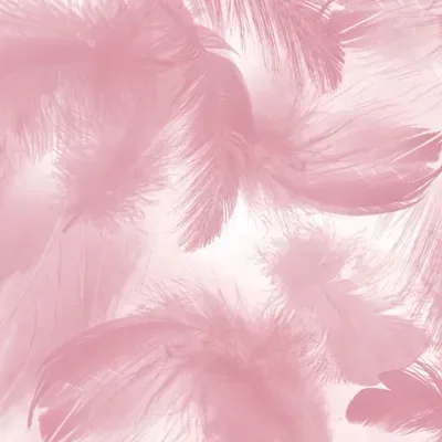 Pink Feather Swirl custom photo booth backdrop, design PB-C013