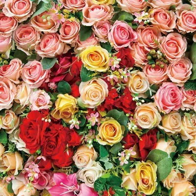 Coral and Red Rose Wall custom photo booth backdrop, design PB-C033