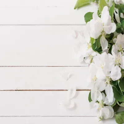White Shiplap Floral Edge custom photo booth backdrop, design PB-C034