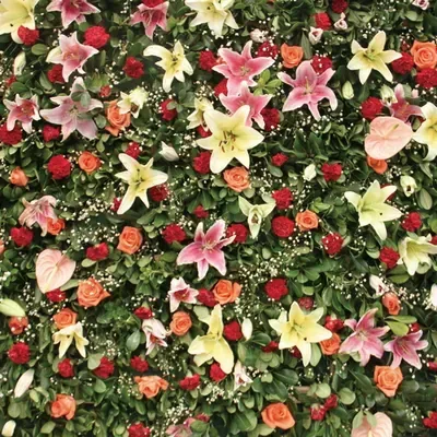 Garden Lily Wall custom photo booth backdrop, design PB-C036
