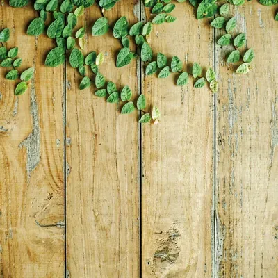 Trailing Leaves on Timber custom photo booth backdrop, design PB-C037
