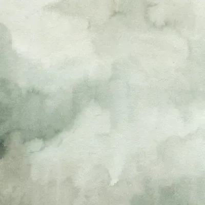 Soft Sage Studio Texture custom photo booth backdrop, design PB-C098